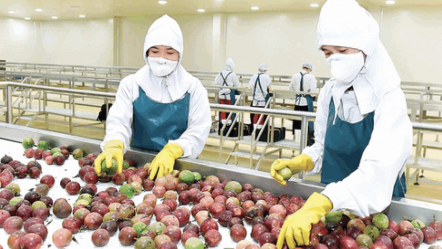 Additional Vietnamese fruits given green-light to enter US and Australia